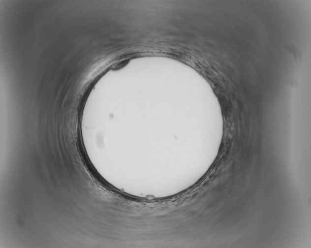 X0000111650005200908141302