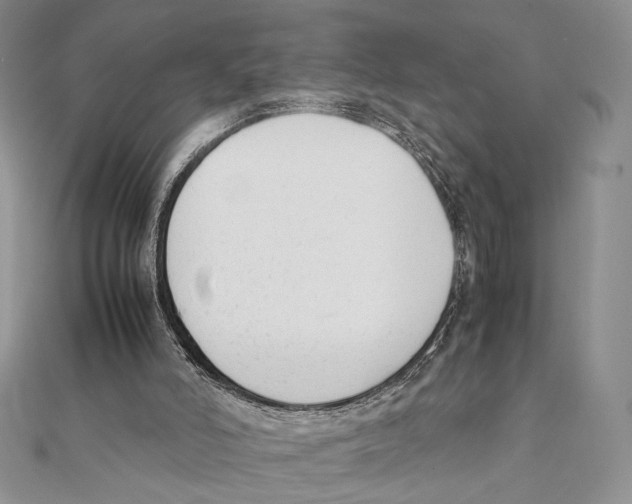 X0000111650006200908141302