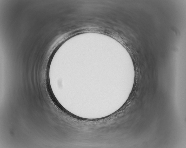 X0000111650007200908141302