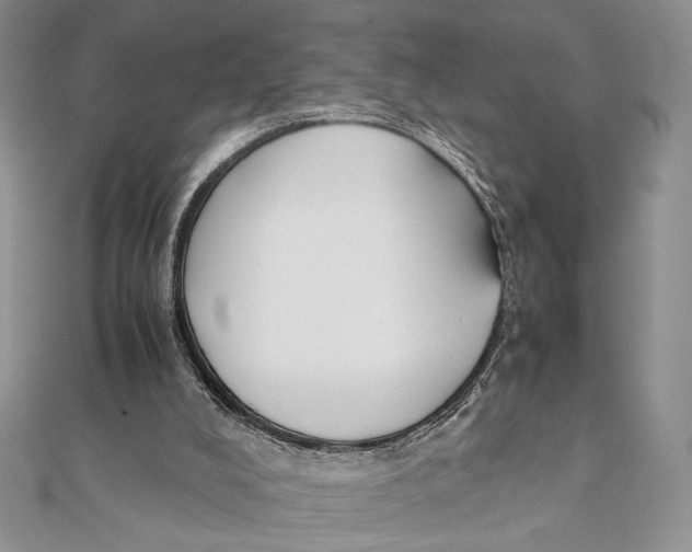 X0000111650008200908141302