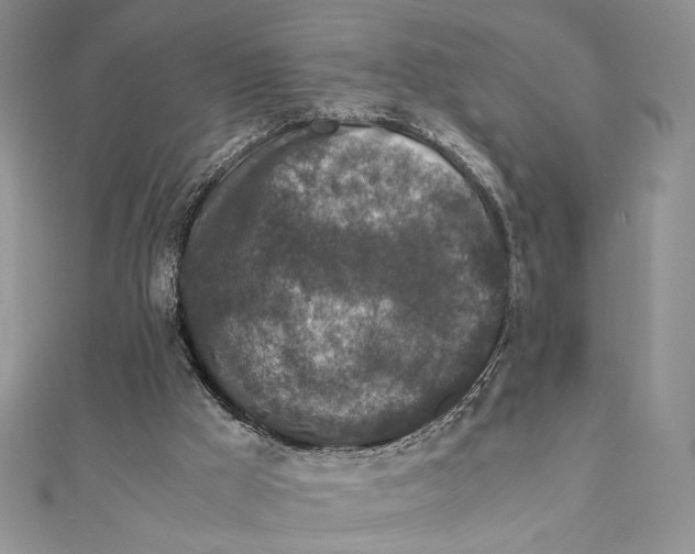 X0000111650009200908141302