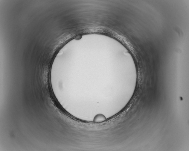 X0000111650010200908141302