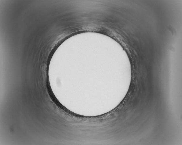 X0000111650011200908141302