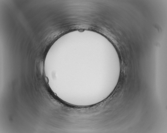 X0000111650013200908141302
