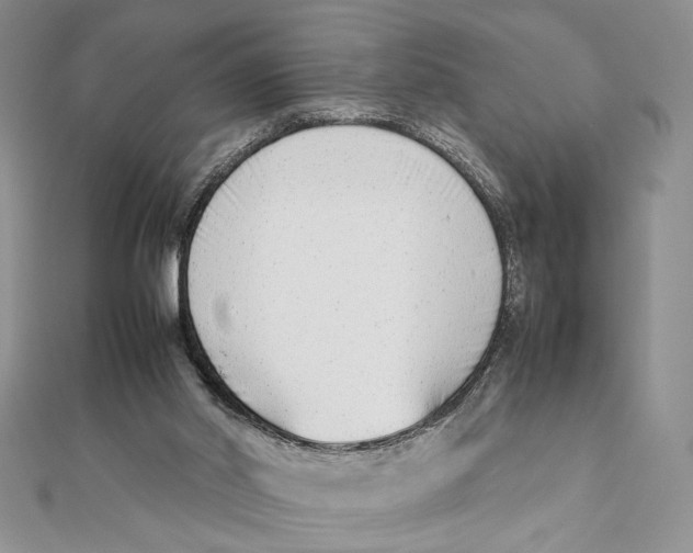 X0000111650014200908141302