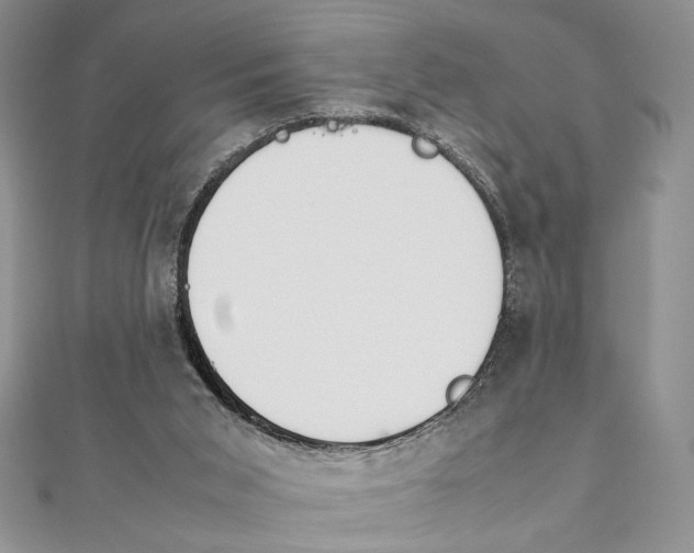 X0000111650015200908141302