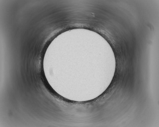 X0000111650016200908141302