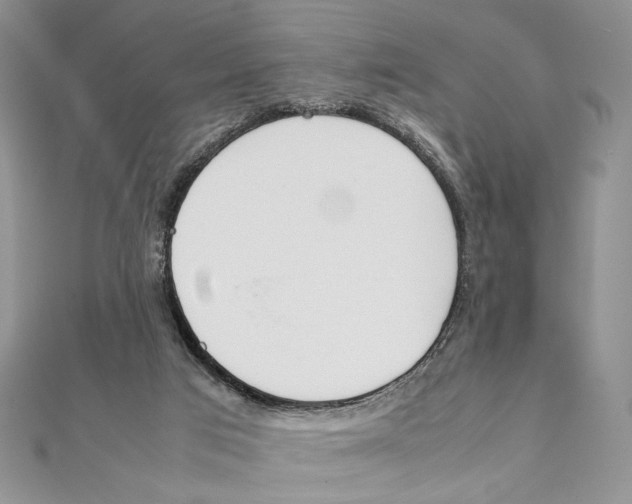 X0000111650017200908141302