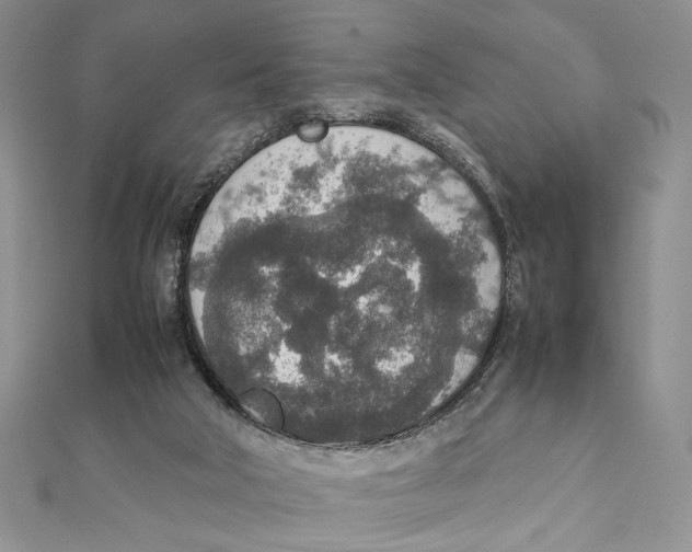 X0000111650018200908141302