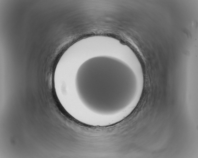 X0000111650019200908141302