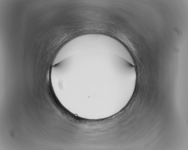 X0000111650021200908141302