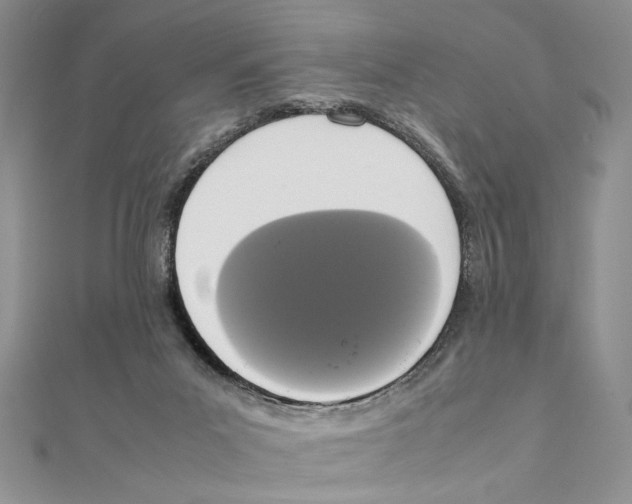 X0000111650023200908141302