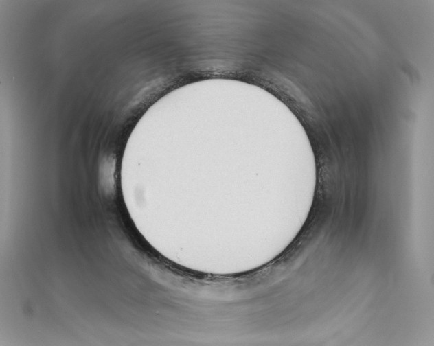 X0000111650024200908141302