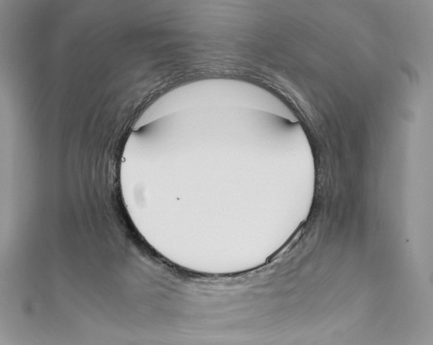 X0000111650025200908141302