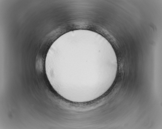 X0000111650026200908141302
