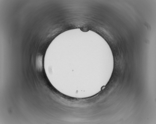 X0000111650028200908141302