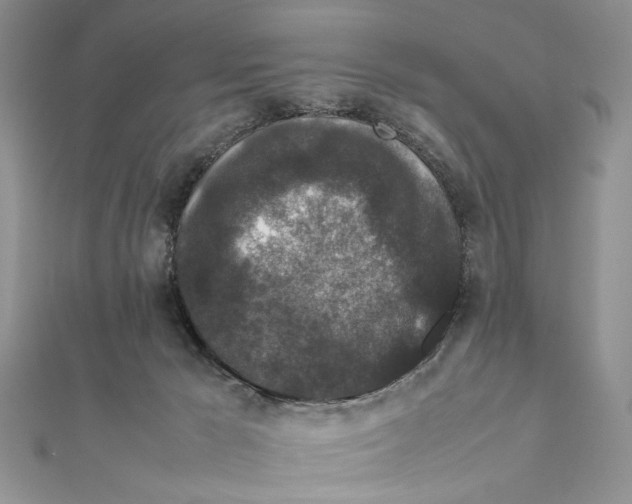 X0000111650029200908141302