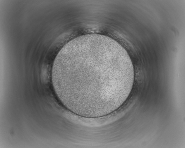 X0000111650030200908141302