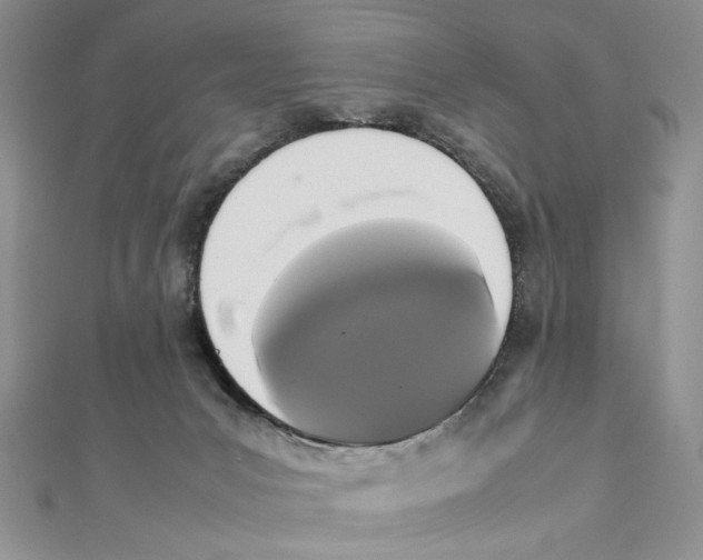X0000111650031200908141302