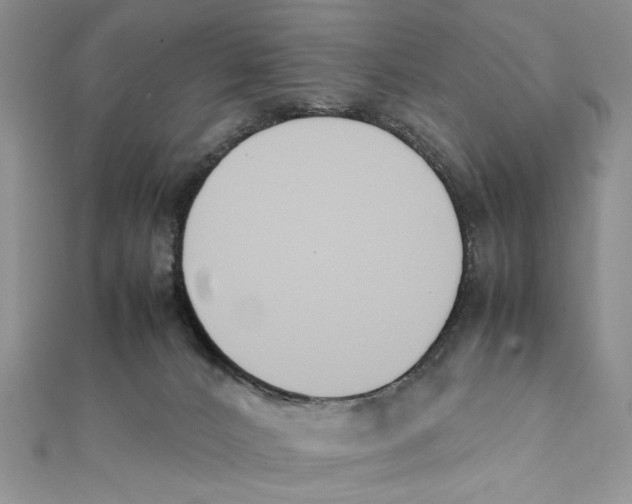 X0000111650032200908141302