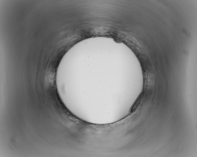 X0000111650033200908141302