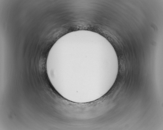 X0000111650034200908141302