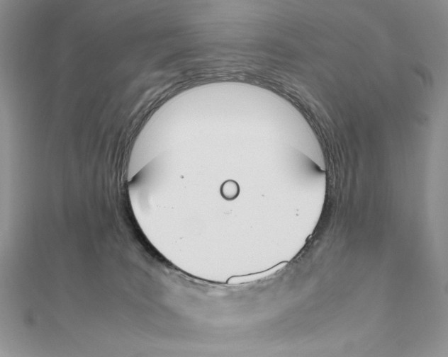 X0000111650035200908141302