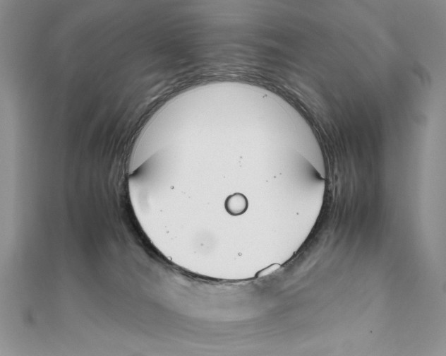 X0000111650036200908141302