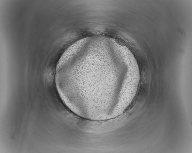 X0000111650037200908141302