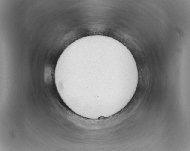 X0000111650038200908141301