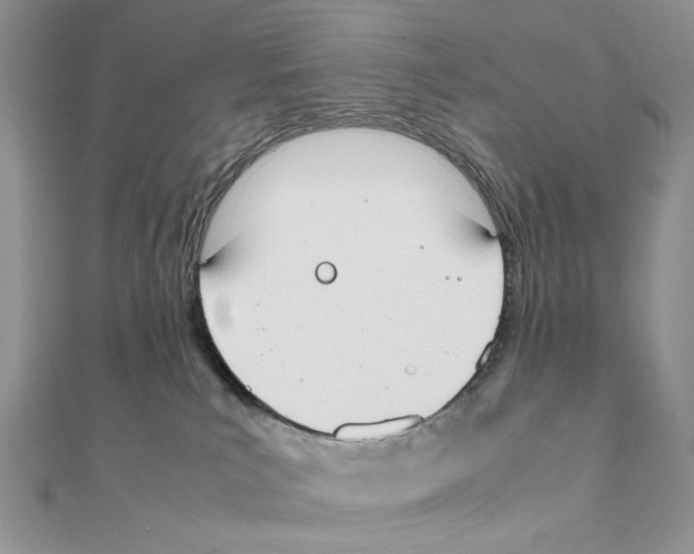 X0000111650039200908141301