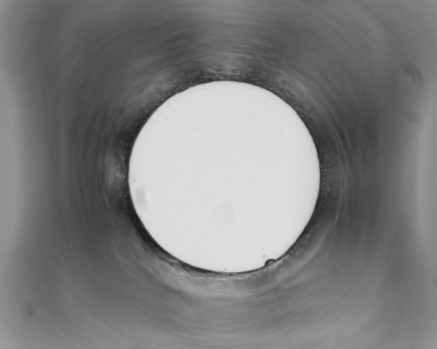 X0000111650040200908141301