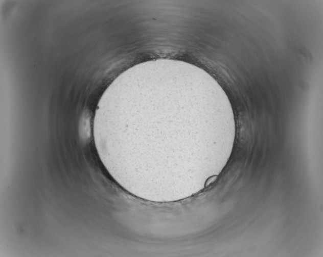 X0000111650042200908141301