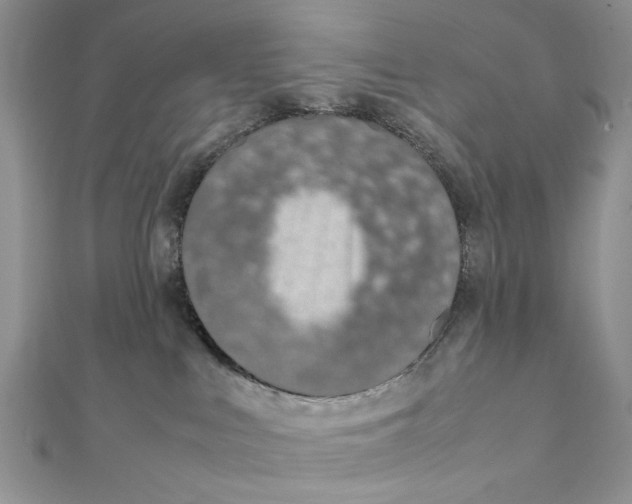 X0000111650043200908141301