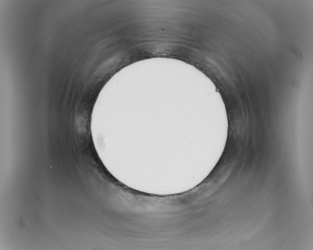 X0000111650044200908141301