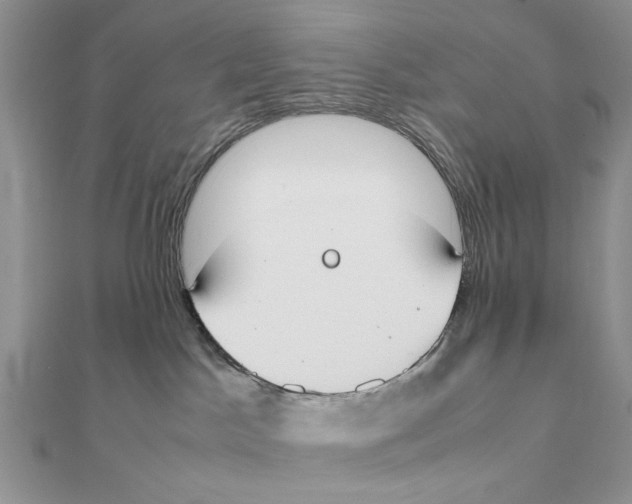 X0000111650045200908141301