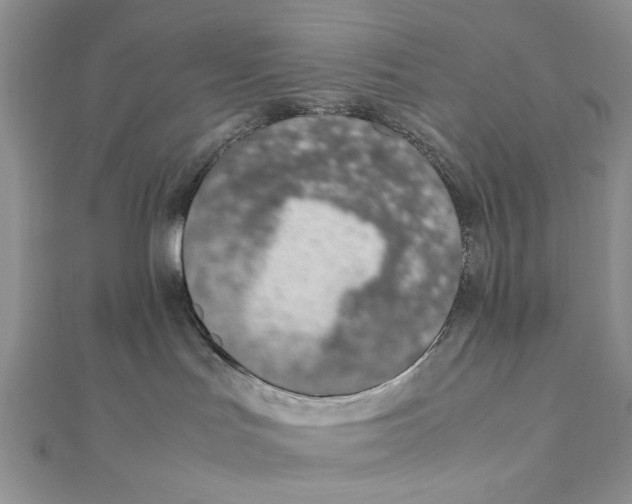 X0000111650047200908141301