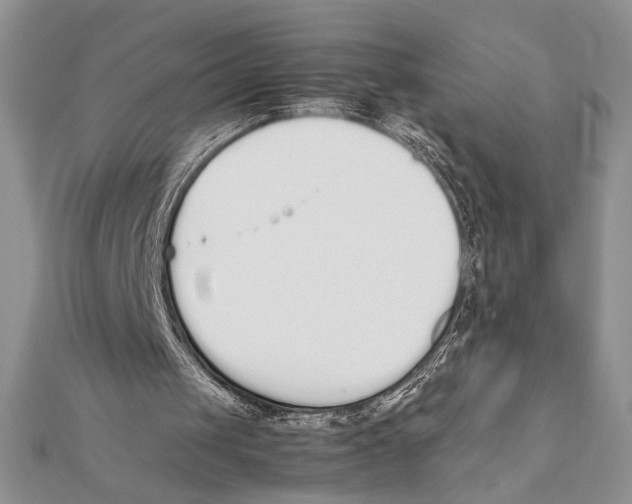 X0000111650049200908141301
