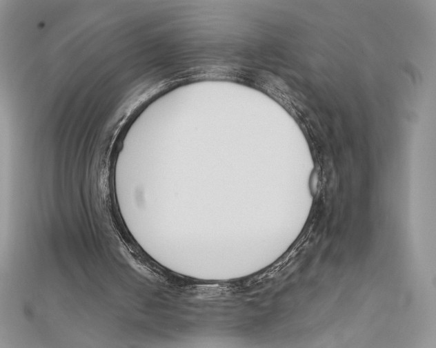 X0000111650050200908141301