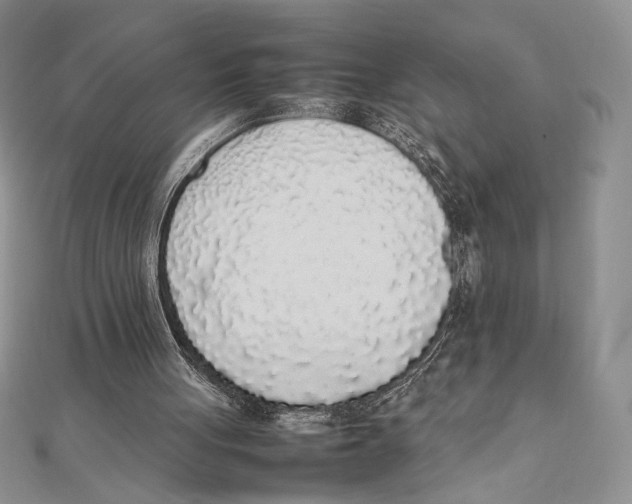 X0000111650051200908141301