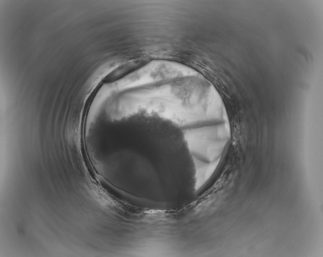 X0000111650052200908141301