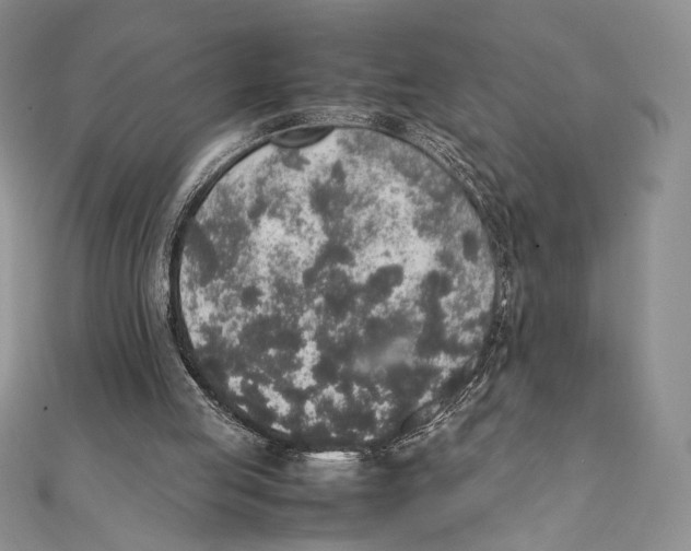 X0000111650053200908141301