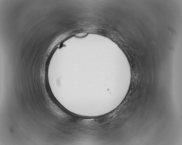 X0000111650054200908141301