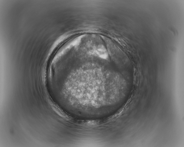 X0000111650056200908141301