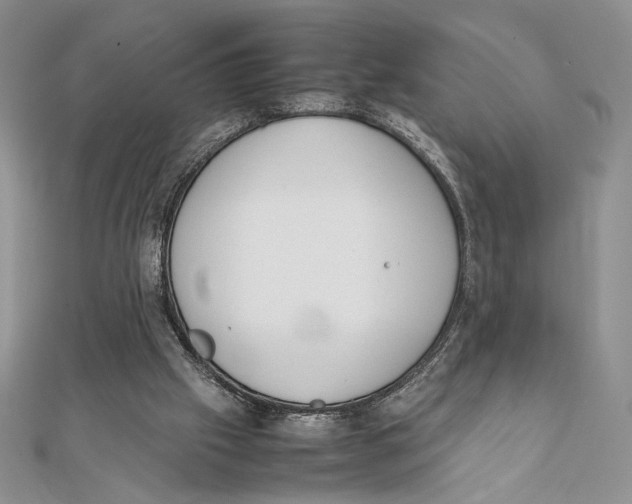 X0000111650057200908141301