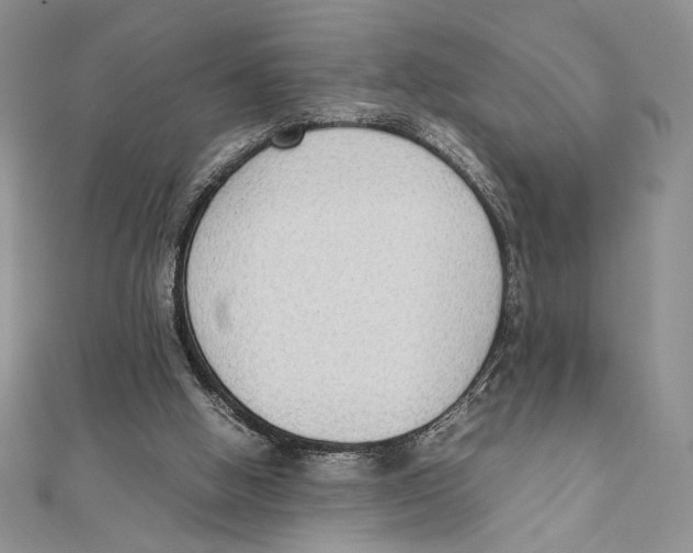 X0000111650058200908141301