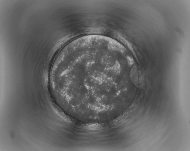 X0000111650059200908141301
