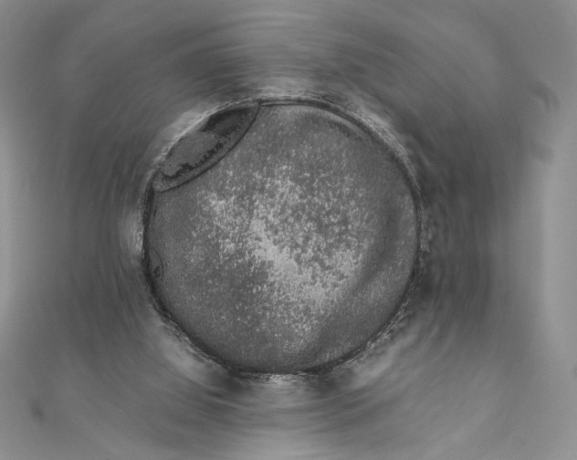 X0000111650060200908141301