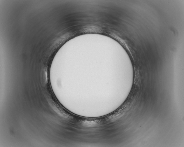 X0000111650061200908141301