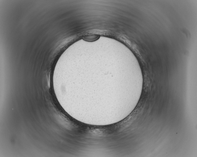 X0000111650062200908141301
